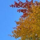 구영365소아청소년과의원 이미지