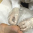 최유섭피부과의원 이미지