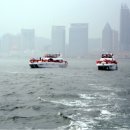 유정민박 이미지