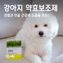 오리하나로약국 | 약 거부 없는 강아지투약보조제, 닥터뮨 바이오서포트 조인트