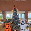 2829 | 2-5. 카메노이호텔 겐카이나다 내돈내산 후기