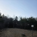 대성초삼거리 이미지