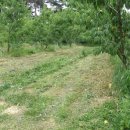 대광농장 이미지