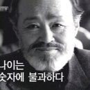 Mr.킥복싱 이미지