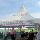 (주)엘이디싸인아트 | 오늘 개막! 7월 동해 가볼만한곳, 제11회 봉정마을 연꽃축제 현장 후기 (이번주 일요일까지!)