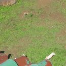 (주)인터퓨어 이미지