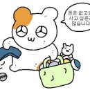 광장로 158 ~ 문화로 47 | [결혼준비 ㅣ 다이어트] 내돈내산 웨딩 스튜디오 결정! 촬영 예약 &amp; 다이어트 스타트(26.05.17 촬영)