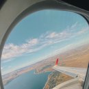 지니 행정사사무소 이미지