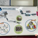 경희카클리닉 이미지