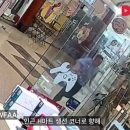 스시영장