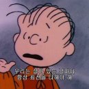 스시미르네 이미지