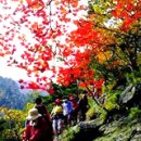 테마여행-가족여행-비교여행-[단풍 vs 억새밭]추억으로 물드는 가을 여행 이미지