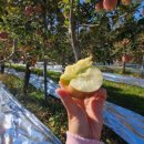 유재하농장 이미지