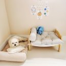 멍그니엘 이미지