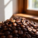 구지농장 | 에티오피아의 보석: 모모라 구지G1 워시드 커피원두