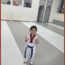 큰솔 태권도 이미지