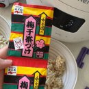 일본 후쿠오카 KALDI 마트 추천템 나가타니엔 연어 오차츠케 해먹기