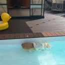 스테이온더힐 이미지