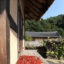 초가마루 이미지