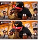 비제이공조 이미지