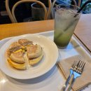 반짝일개 이미지