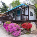 하늘다음펜션 | 정선펜션 추천 계곡 바로 앞 가족여행추천 하늘나리펜션 후기