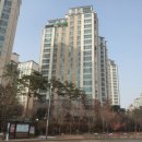 걸포솔약국 이미지