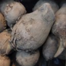 난전농장 이미지