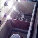 정택농장 이미지