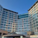 오션트리 호스텔 | [제주도 숙소] 오션스위츠 제주호텔 &#39;스탠다드 트윈&#39; 숙박 솔직 후기