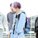 바비슈 이미지