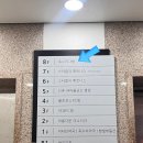 신촌역카페 공부도 대화하기도 좋은 독수리다방