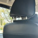 수영조은약국 | 태국 치앙마이 day 3(2.28~3.1) 🐸