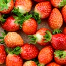 고령유통 이미지