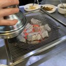 자갈마당산꼼장어