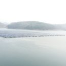 기준태양광발전소 이미지