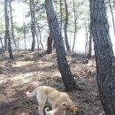 오복농장 이미지