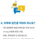 성필립보 생태마을 청국장 내돈내산 후기