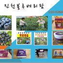 보련산 농장 이미지