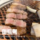미트혁