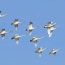 귀거래사 이미지