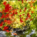 지리산 하늘아래 이미지