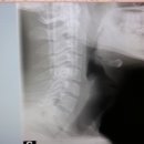 부천수림한방병원 이미지