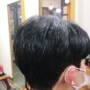 샘즈헤어