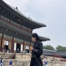역사투어 | [동궐지애 창덕궁 투어] 창경궁과 창덕궁의 사랑이야기 호위무사와 함께한 이머시브 조선 역사 투어 후기