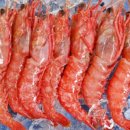 달마축산 이미지