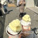 서초레몬 | 교대역 디저트 아가젤라또 서초교대점 내돈내산 후기 젤라또 맛 종류