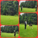 스카이골프연습장클럽 이미지