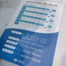 일산 메르 프리다이빙센터 강습 후기(김예진 강사님)