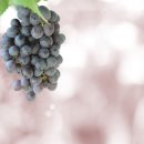 와이비 메디컬 이미지